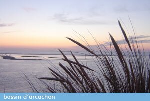 Cours d'Arcachon